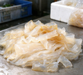 Jellyfish Noodles - view 1