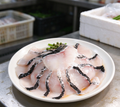 Snakehead Fish Slices - view 1
